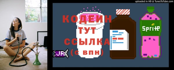 шишки Балахна