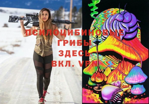 ГАЛЛЮЦИНОГЕННЫЕ ГРИБЫ Аркадак